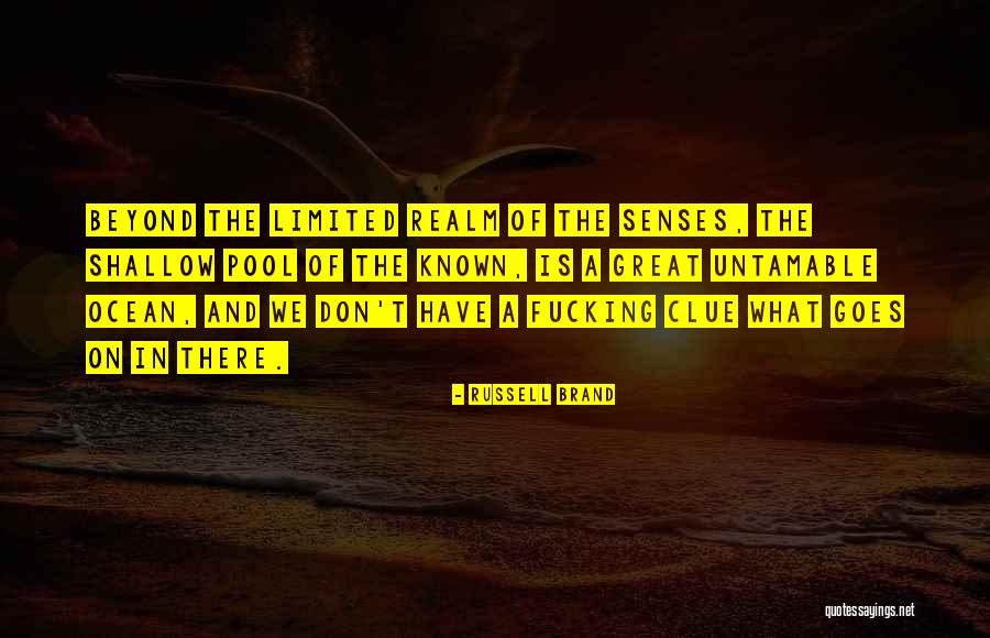 Grandchildrens Savings Quotes By Russell Brand Grandchildrens Savings Quotes By Russell Brand