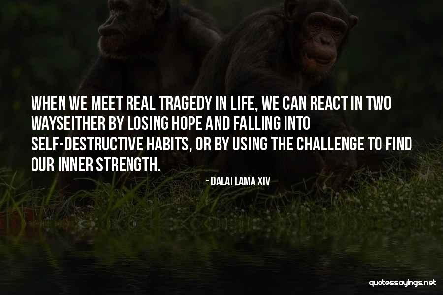 Granddaughter Great Grades Quotes By Dalai Lama XIV Granddaughter Great Grades Quotes By Dalai Lama XIV