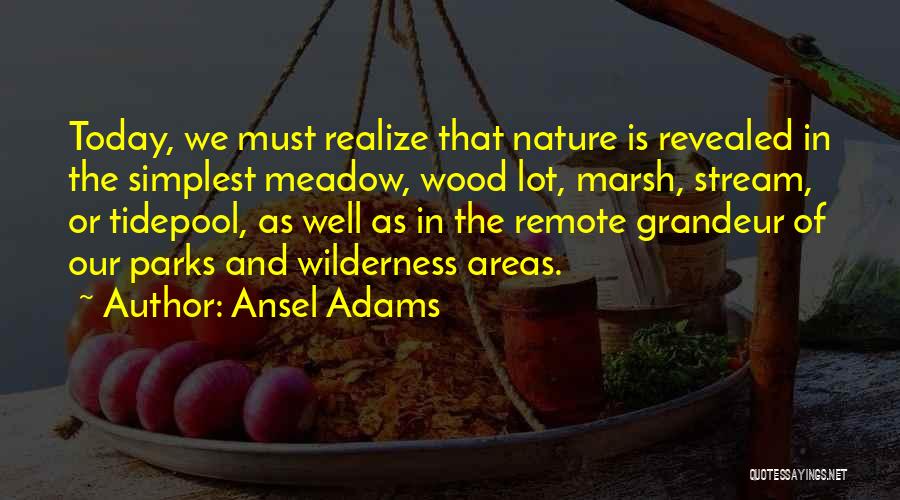 Grandeur Of Nature Quotes By Ansel Adams