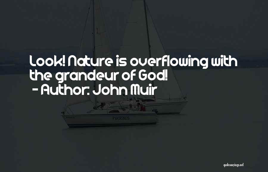 Grandeur Of Nature Quotes By John Muir