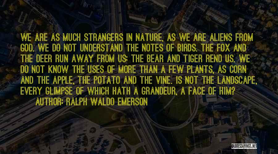 Grandeur Of Nature Quotes By Ralph Waldo Emerson