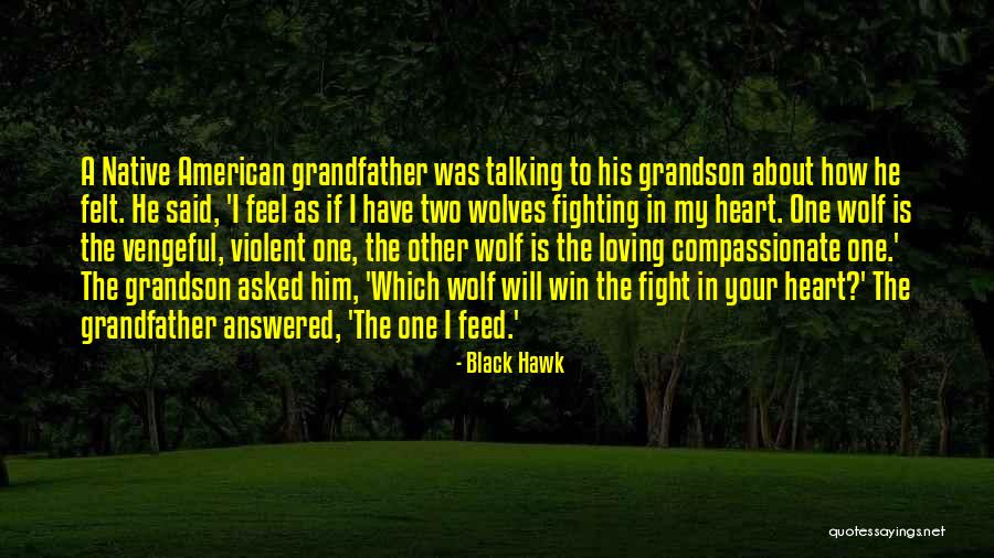 Grandfather And Grandson Quotes By Black Hawk