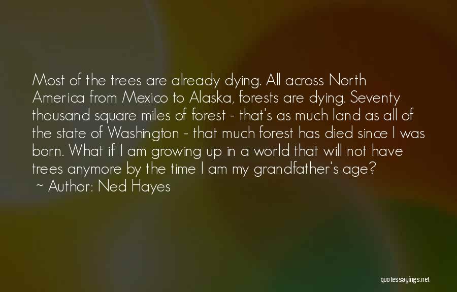 Grandfather's Dying Quotes By Ned Hayes