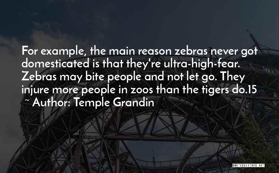 Grandin Quotes By Temple Grandin