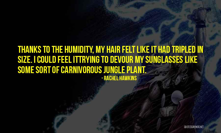 Grandiosity Paranoia Thought Quotes By Rachel Hawkins Grandiosity Paranoia Thought Quotes By Rachel Hawkins