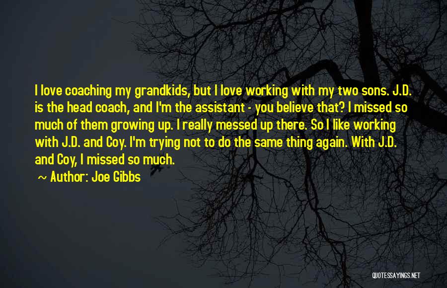Grandkids Growing Up Quotes By Joe Gibbs