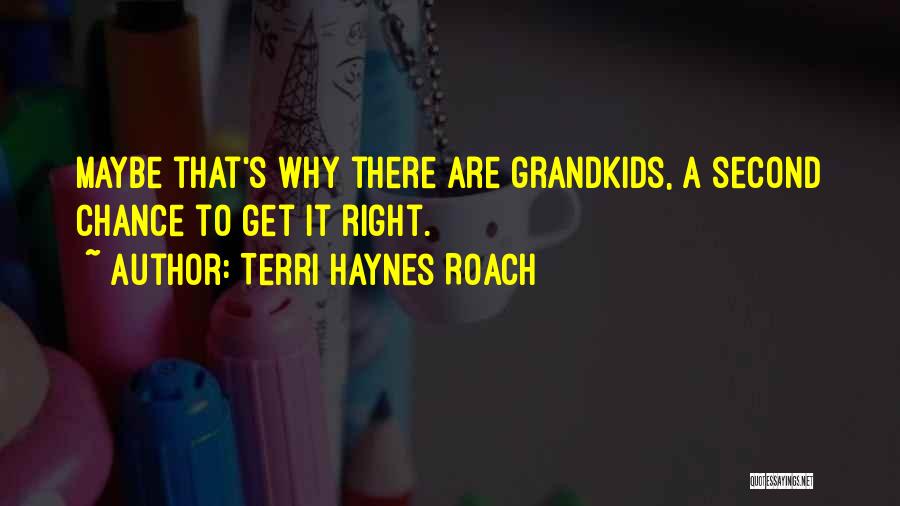 Grandkids Quotes By Terri Haynes Roach