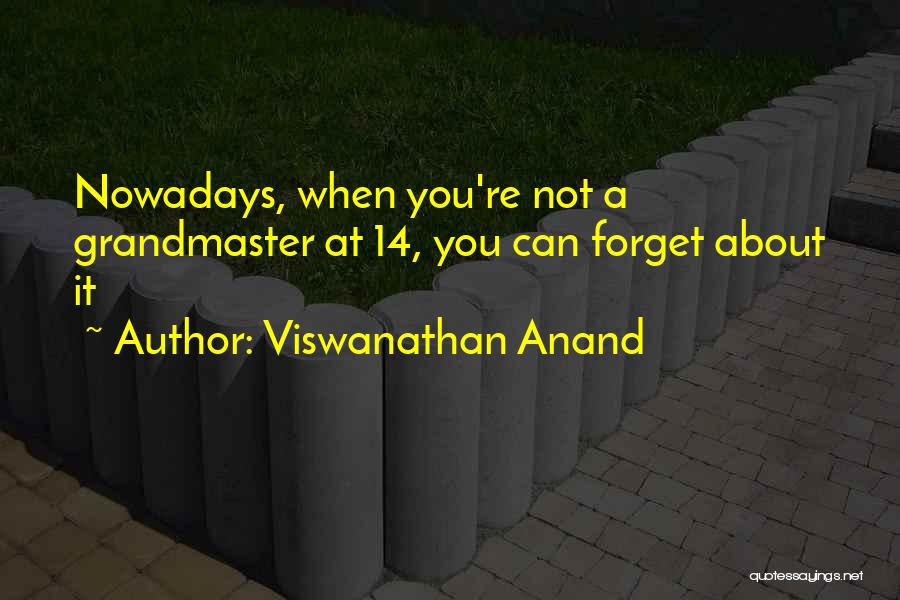 Grandmaster B Quotes By Viswanathan Anand