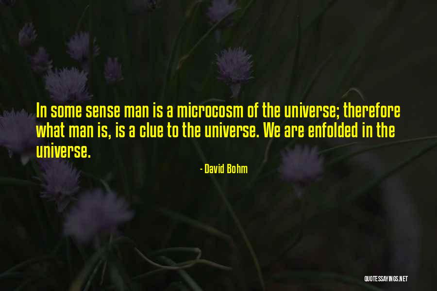 Grandmasters Overwatch Quotes By David Bohm Grandmasters Overwatch Quotes By David Bohm