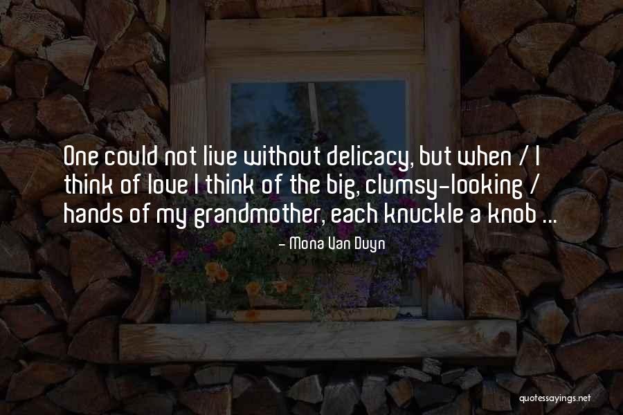 Grandmother Love Quotes By Mona Van Duyn