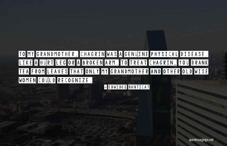 Grandmother Wise Quotes By Edwidge Danticat Grandmother Wise Quotes By Edwidge Danticat