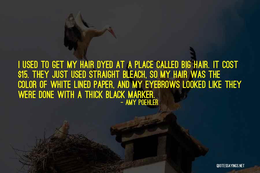 Grandpa Blakeslee Quotes By Amy Poehler Grandpa Blakeslee Quotes By Amy Poehler