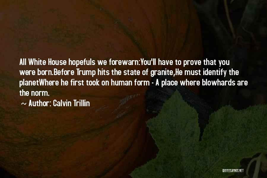 Granite State Quotes By Calvin Trillin