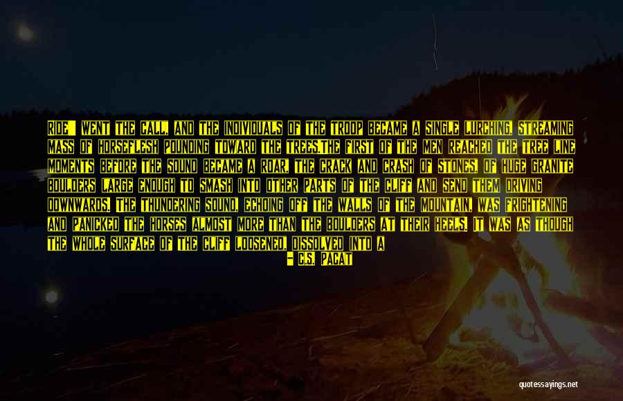 Granite Stone Quotes By C.S. Pacat Granite Stone Quotes By C.S. Pacat