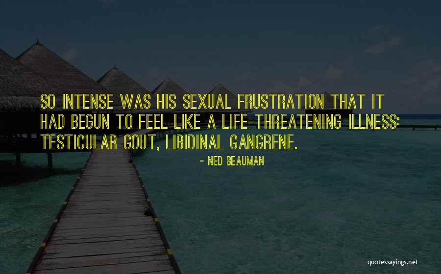 Granos Integrales Quotes By Ned Beauman Granos Integrales Quotes By Ned Beauman