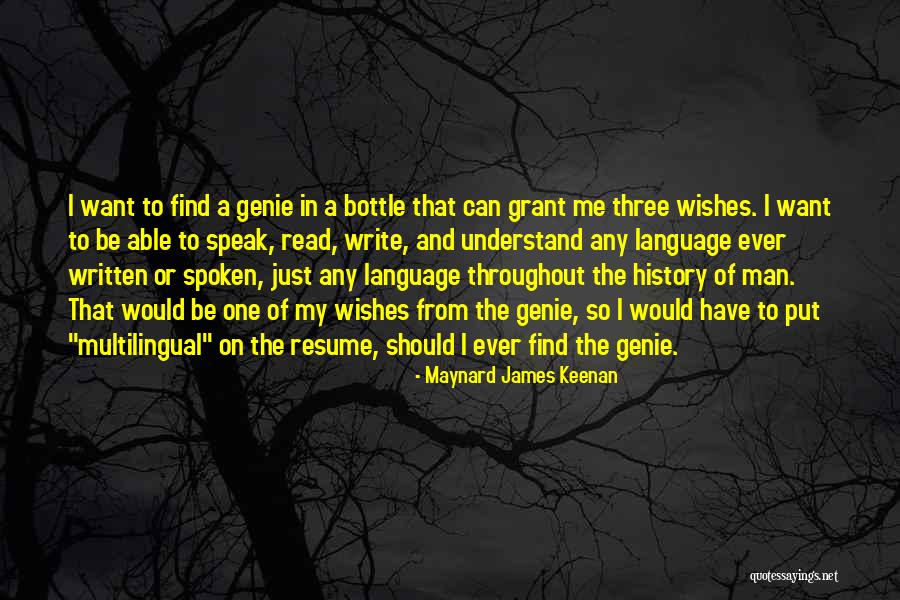 Grant A Wish Quotes By Maynard James Keenan