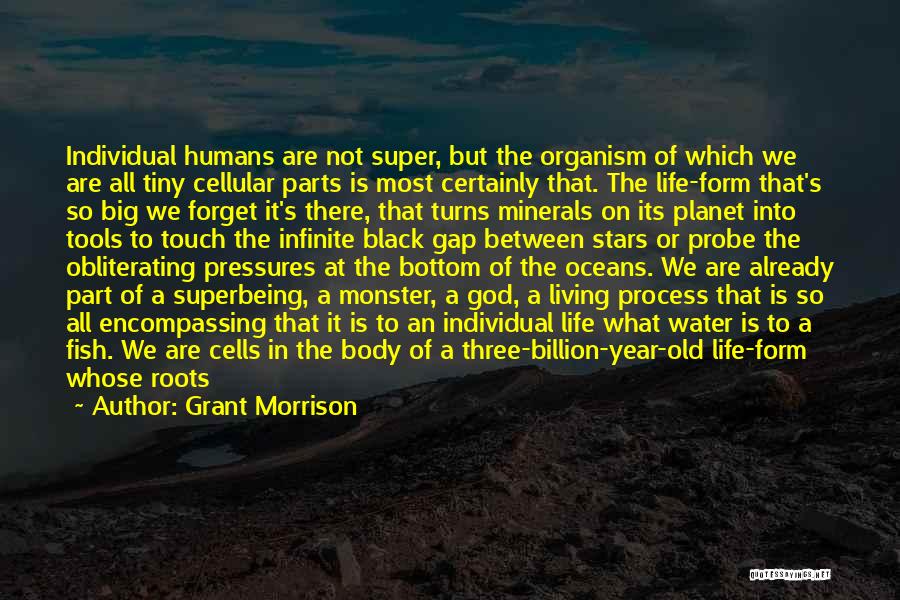 Grant Morrison Quotes 1204486