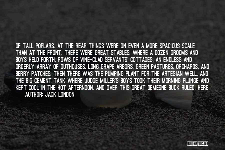 Grape Vine Quotes By Jack London