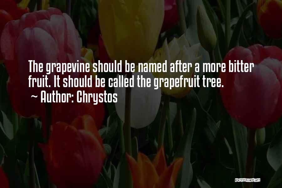 Grapefruit Quotes By Chrystos