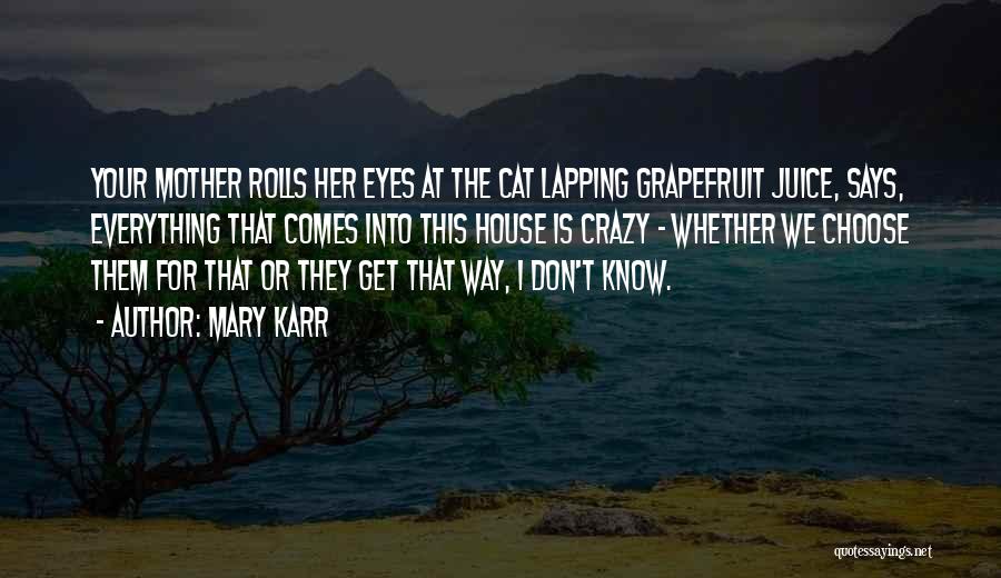 Grapefruit Quotes By Mary Karr