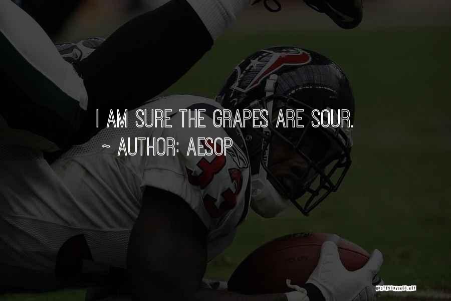 Grapes Quotes By Aesop
