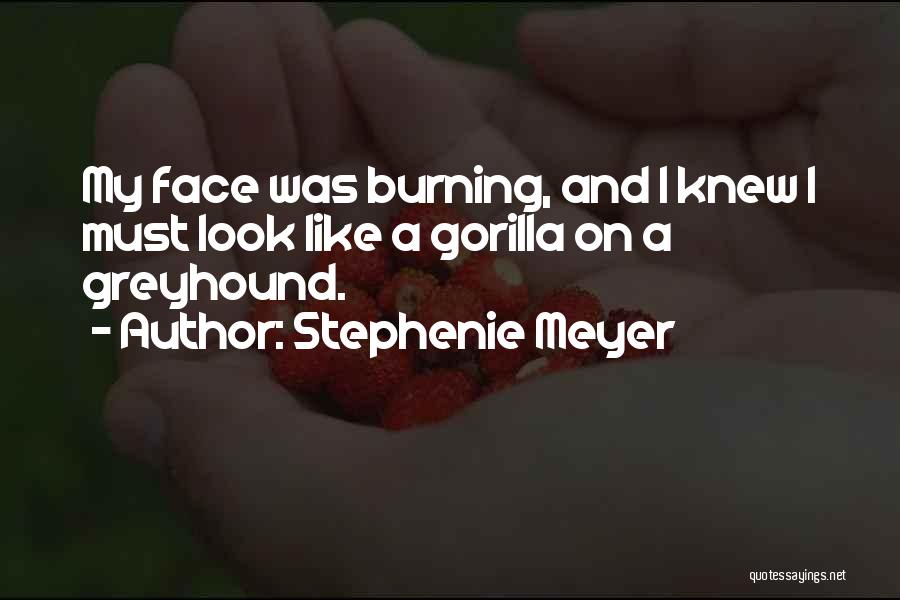 Grapevines Patio Quotes By Stephenie Meyer