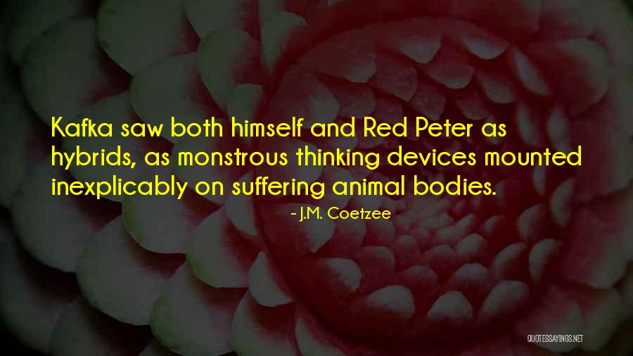 Grappigste Nederlandse Quotes By J.M. Coetzee Grappigste Nederlandse Quotes By J.M. Coetzee