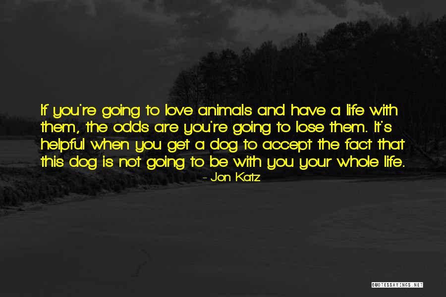 Grapy In Bathroom Quotes By Jon Katz Grapy In Bathroom Quotes By Jon Katz