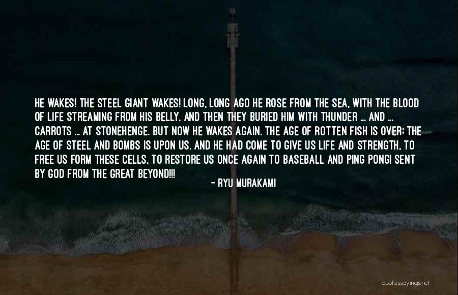 Graspable Quotes By Ryu Murakami Graspable Quotes By Ryu Murakami