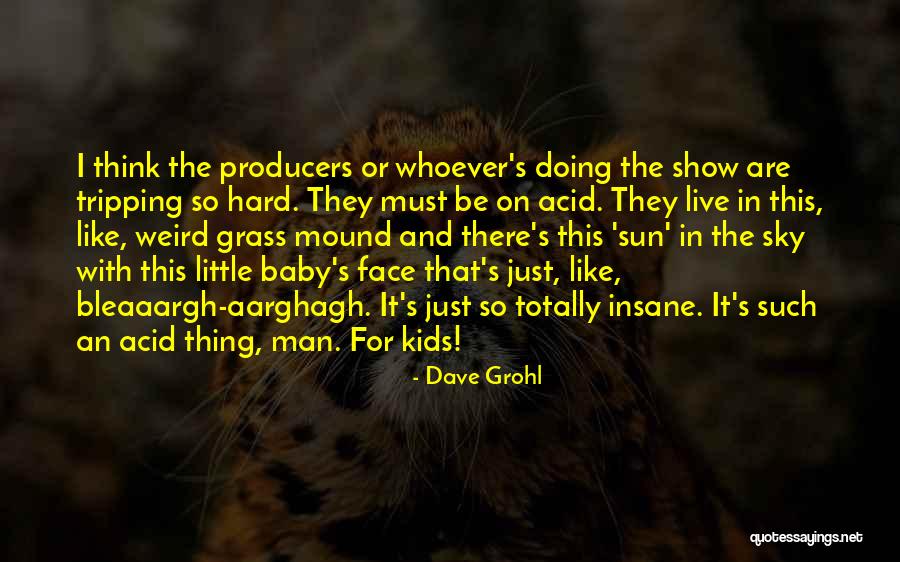 Grass And Sky Quotes By Dave Grohl Grass And Sky Quotes By Dave Grohl