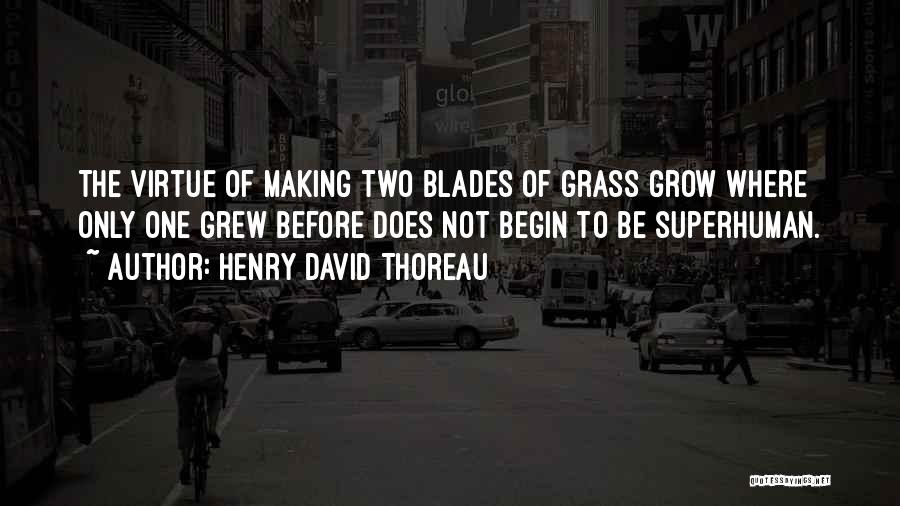 Grass Blades Quotes By Henry David Thoreau