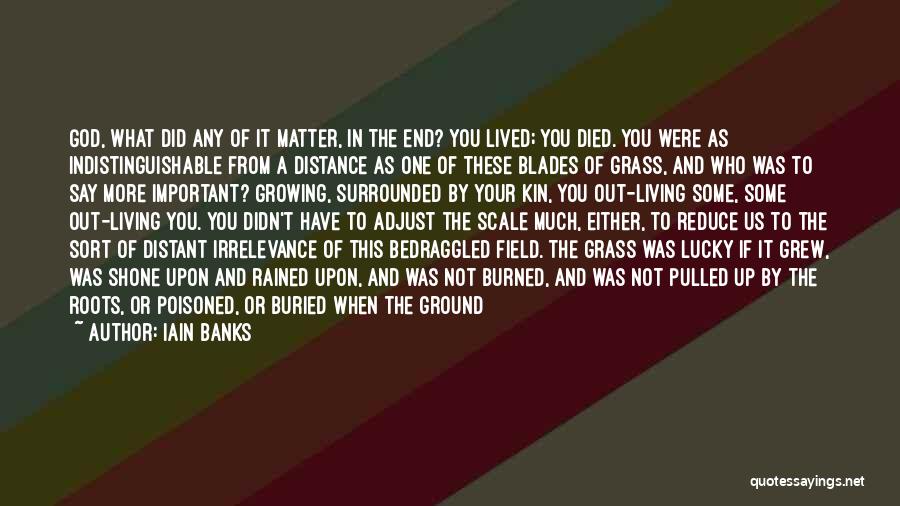 Grass Blades Quotes By Iain Banks