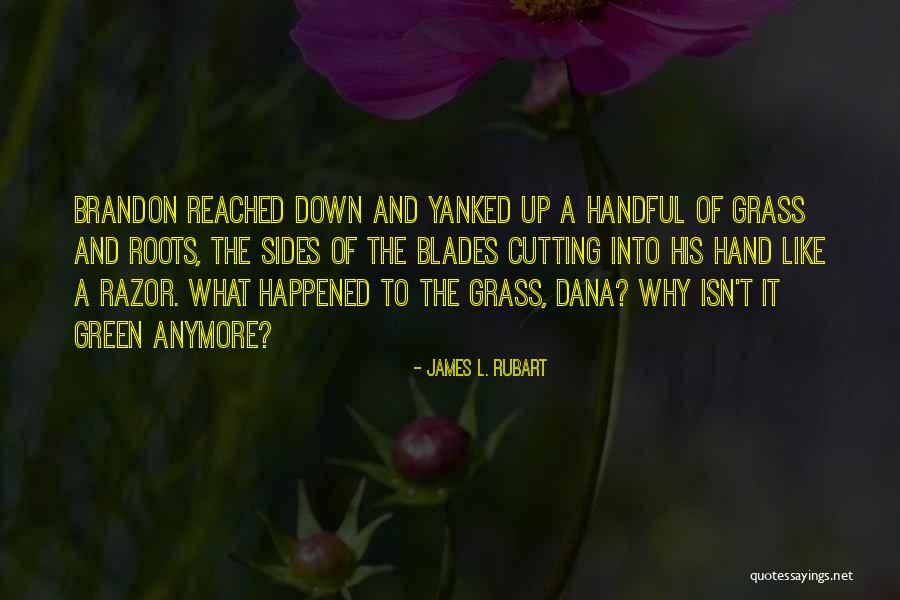 Grass Blades Quotes By James L. Rubart