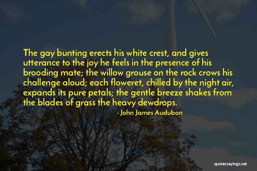 Grass Blades Quotes By John James Audubon