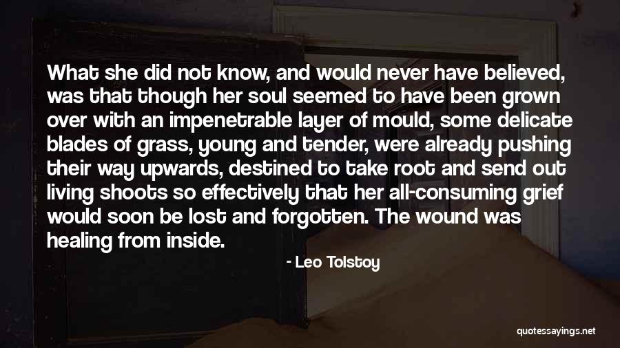 Grass Blades Quotes By Leo Tolstoy