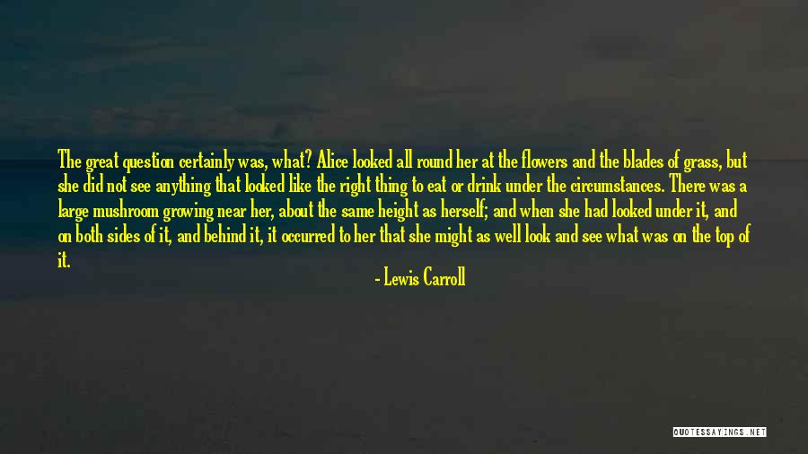 Grass Blades Quotes By Lewis Carroll