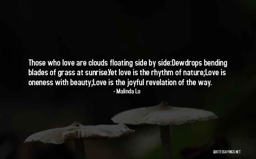 Grass Blades Quotes By Malinda Lo