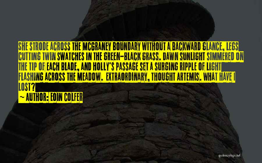 Grass Cutting Quotes By Eoin Colfer