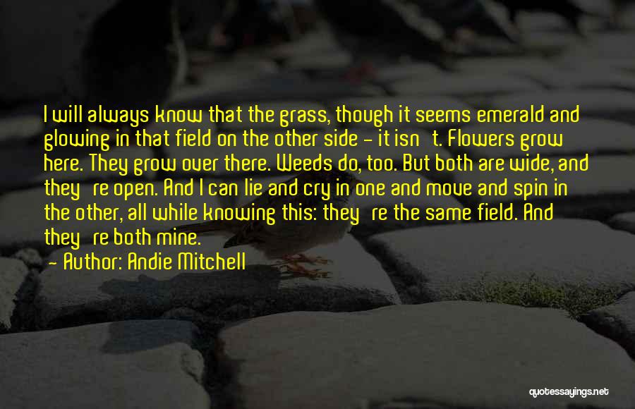 Grass Field Quotes By Andie Mitchell