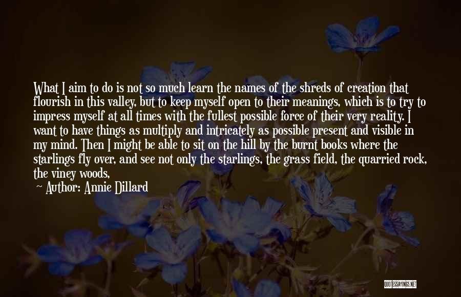 Grass Field Quotes By Annie Dillard