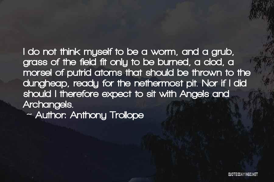 Grass Field Quotes By Anthony Trollope