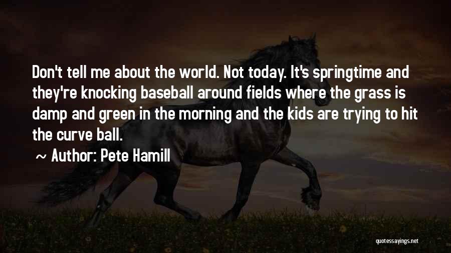 Grass Fields Quotes By Pete Hamill