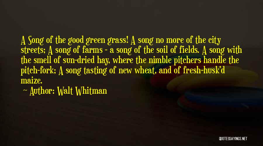 Grass Fields Quotes By Walt Whitman