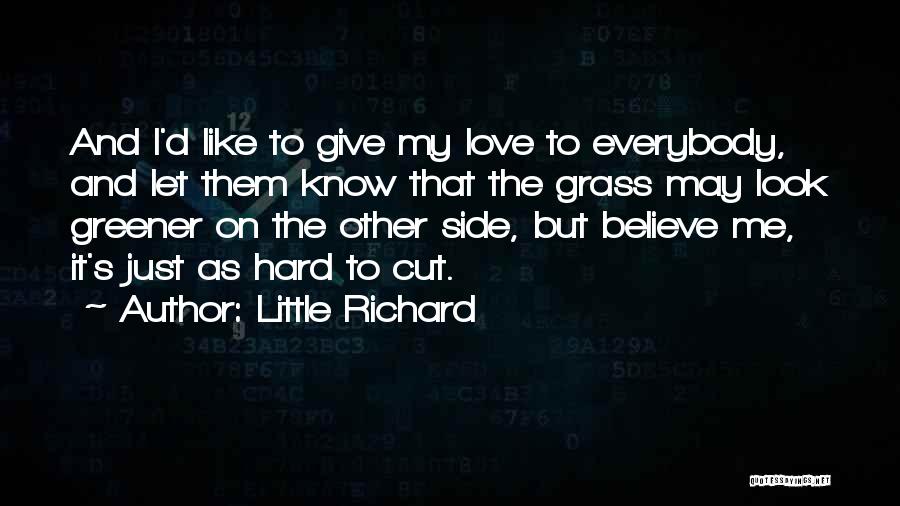 Grass Greener On The Other Side Quotes By Little Richard