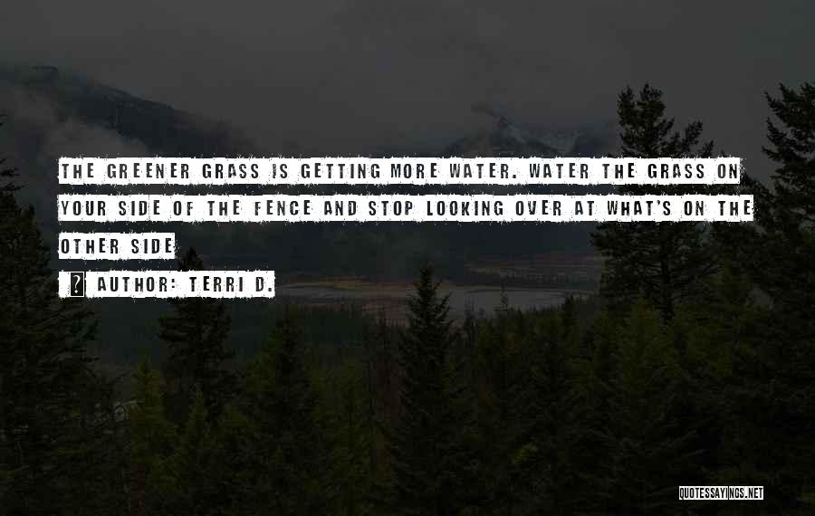 Grass Greener On The Other Side Quotes By Terri D.