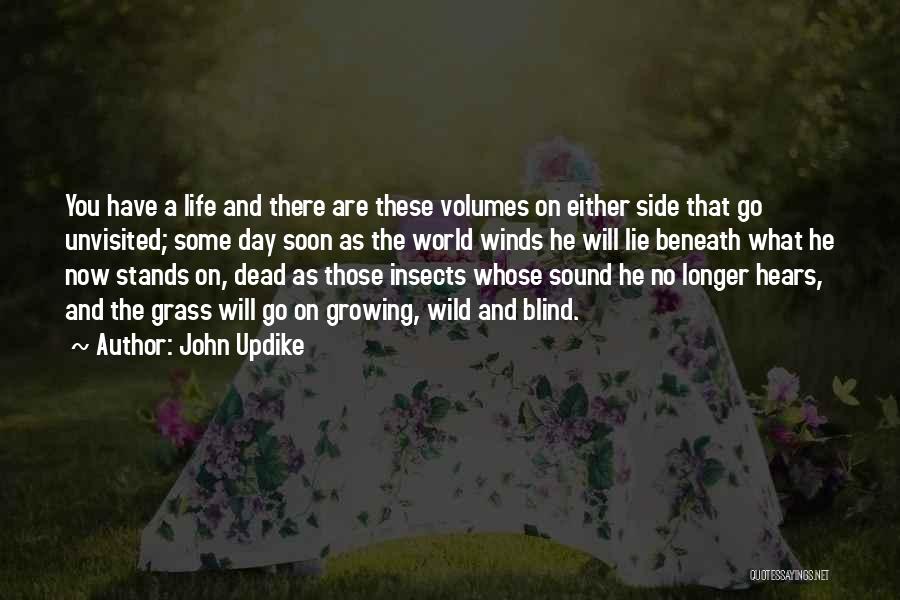 Grass Growing Quotes By John Updike