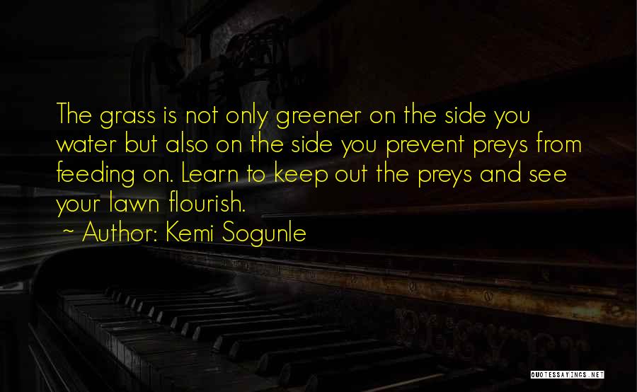 Grass Is Greener Quotes By Kemi Sogunle