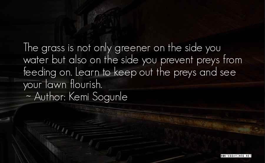 Grass Not Greener On The Other Side Quotes By Kemi Sogunle