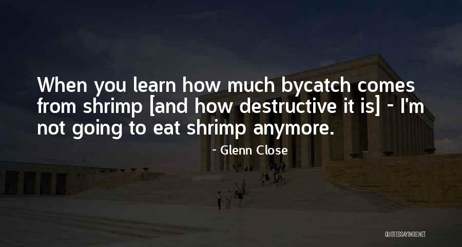 Grasses For Shade Quotes By Glenn Close Grasses For Shade Quotes By Glenn Close