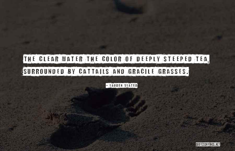 Grasses Quotes By Lauren Slater Grasses Quotes By Lauren Slater